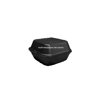 Contenedor 6x6 Negro