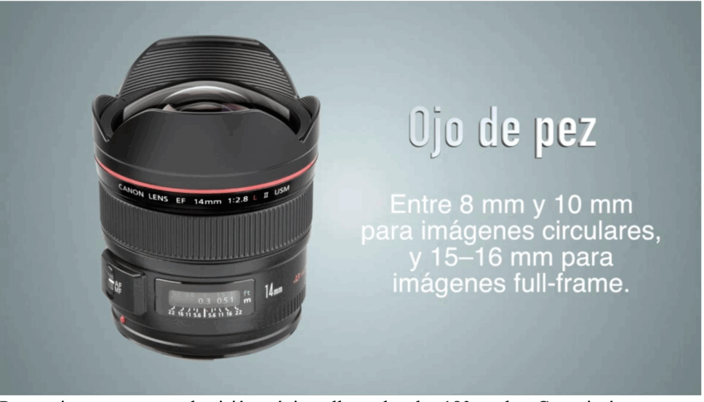 que-objetivo-fotografico-es-mejor-para-mi-campana-publicitaria