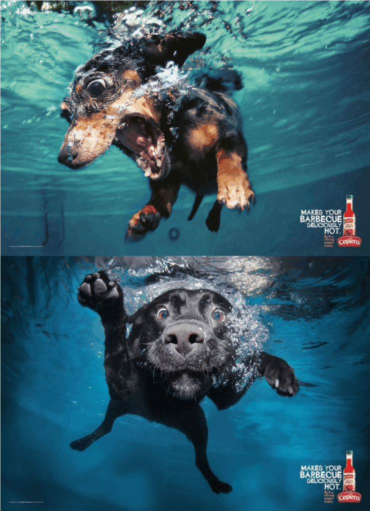 que-objetivo-fotografico-es-mejor-para-mi-campana-publicitaria